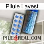 Lavest Pill 40